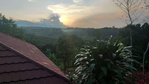 Scenic view of trees and houses against sky during sunset