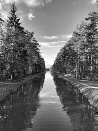 Reflection of trees in water against sky