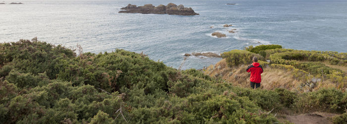 Panoramic view of man standing amidst plants against sea