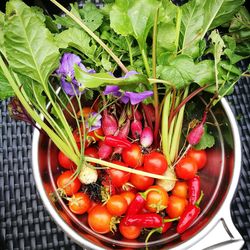 High angle view of cherries in container