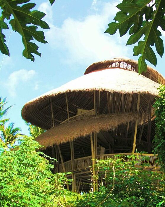 built structure, architecture, tree, building exterior, sky, plant, growth, house, green color, wood - material, low angle view, day, leaf, nature, outdoors, cloud - sky, no people, thatched roof, cloud, roof