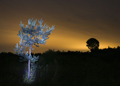 Scenic view of trees against sky at sunset