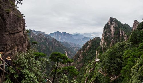 Panoramic view of trees and mountains against sky