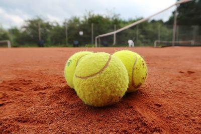 Close-up of yellow balls on ball