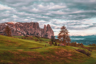Panoramic view of mount sciliar on the seiser alm in the dolomites in south tyrol, italy.