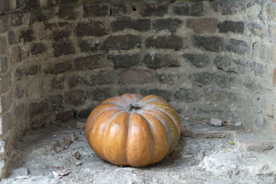 Close-up of pumpkins on stone wall