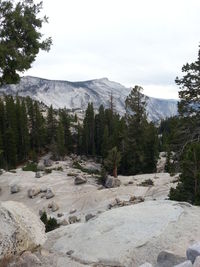 Scenic view of mountains