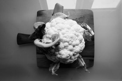 High angle view of cauliflower on table at home