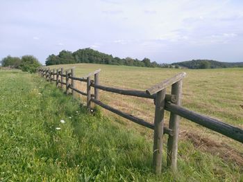 Fence on grassy field