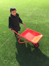 High angle view of boy standing in grass