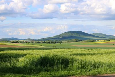 Scenic view of field against sky