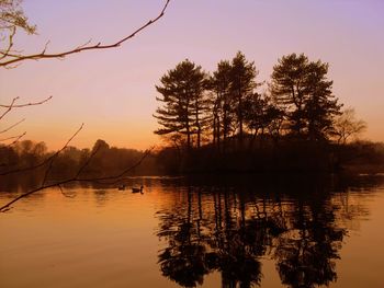 Scenic shot of reflection of trees in calm lake