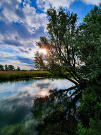 Scenic view of lake in forest against sky