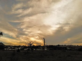 Silhouette trees on field against sky during sunset