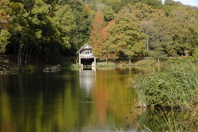 Scenic view of lake in forest