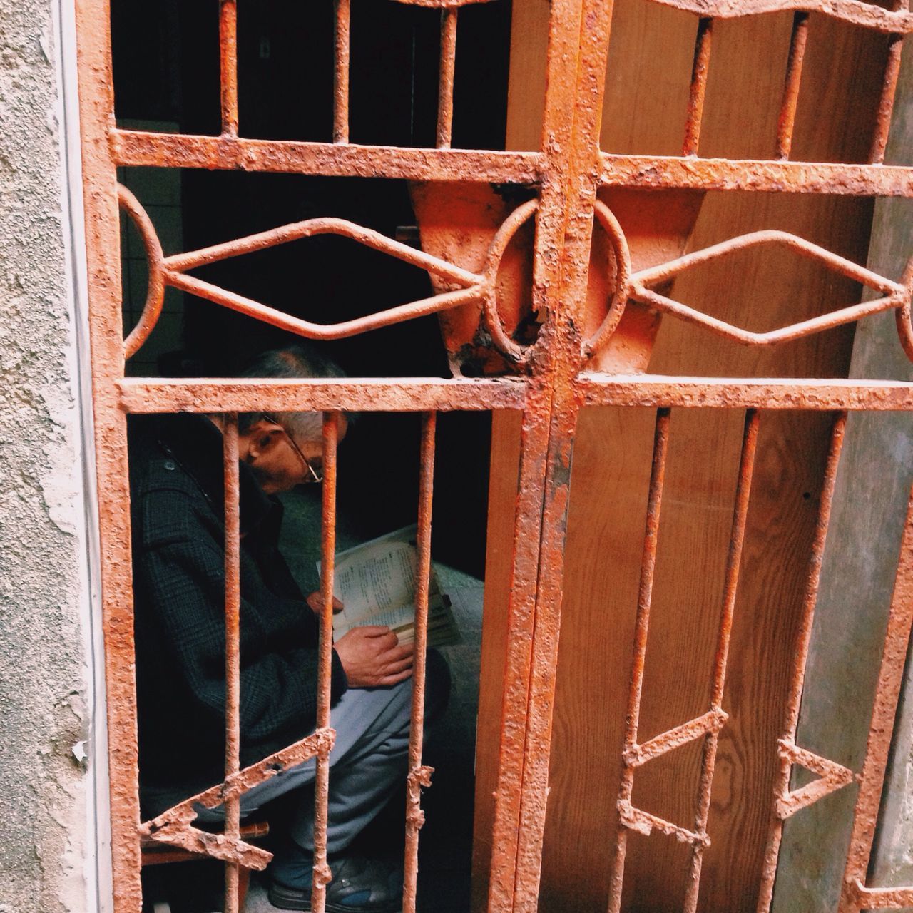 built structure, metal, building exterior, animal themes, wood - material, architecture, weathered, old, one animal, close-up, fence, rusty, window, damaged, protection, abandoned, outdoors, safety, wooden, brick wall