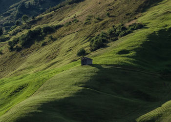Rear view of man on road