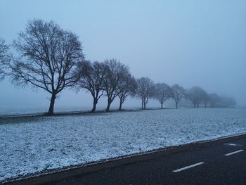 Bare trees by road against sky during winter