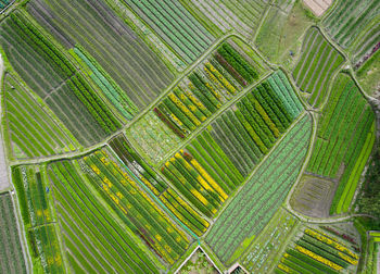 Full frame shot of farm