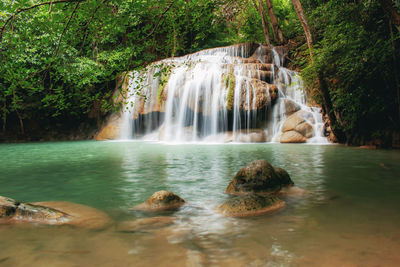 Scenic view of waterfall in forest