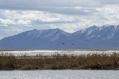 Scenic view of lake by snowcapped mountains against sky
