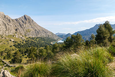 Hike on the trail gr221 through the serra de tramuntana with wonderful views of the cúber reservoir.