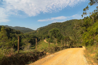 Dirt road passing through landscape