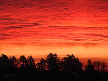 Silhouette trees against orange sky