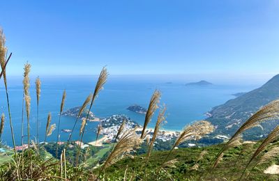 Scenic view of sea against clear blue sky