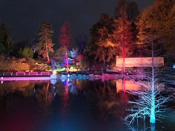 Reflection of trees in water