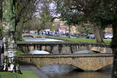 View of canal along trees