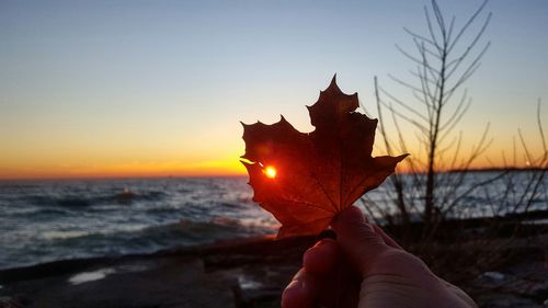 Cropped image of hand holding water