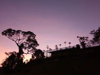 Low angle view of silhouette trees against sky at sunset