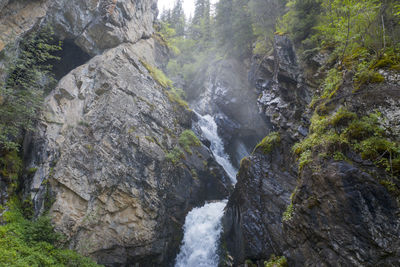 Scenic view of waterfall in forest