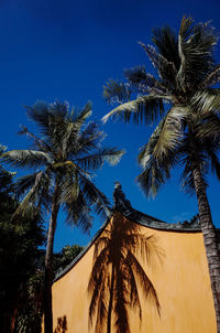 Low angle view of palm trees against clear blue sky