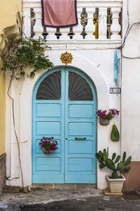 Potted plants on window of building