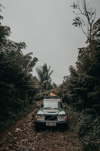 Car on road amidst trees against sky