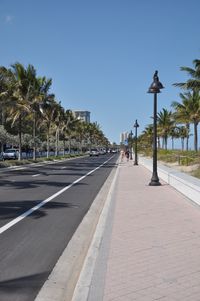 Road and palm trees against clear sky