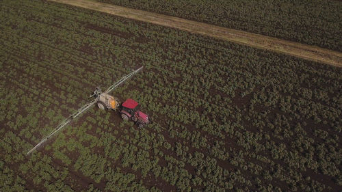 Aerial view tractor spraying the chemicals on the large green field. 