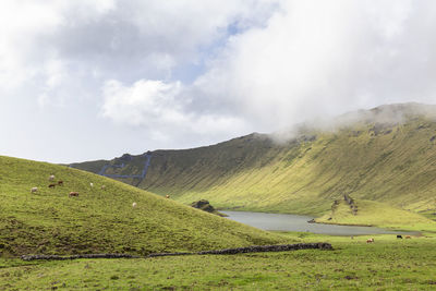 Scenic view of landscape against sky