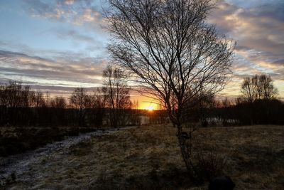 Silhouette bare trees on field against sky during sunset