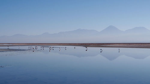 Scenic view of lake against clear blue sky