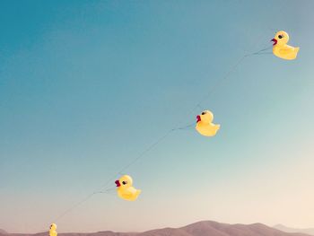 Low angle view of rubber ducks hanging on string against sky