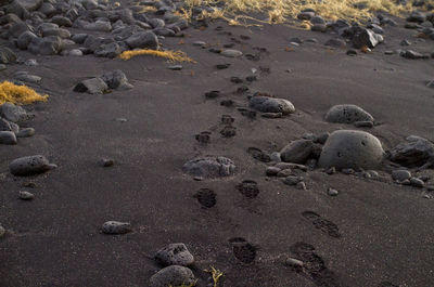 Close-up of footprints on sand at beach