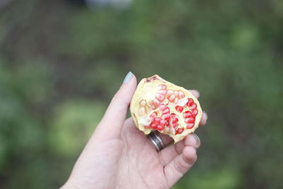 Cropped image of woman hand holding pomegranate