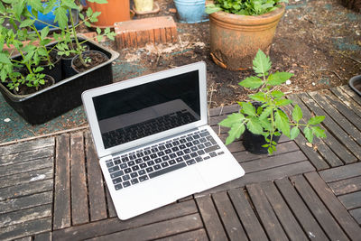 High angle view of potted plant on table