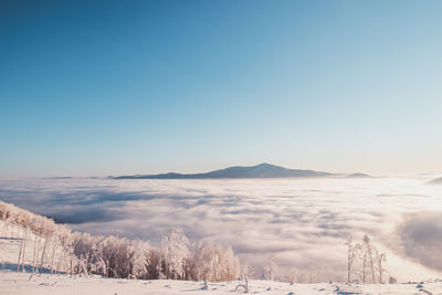 Fabulous winter scenery with a view of the sea of clouds illuminated by the sun in the morning