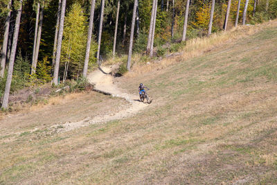 Man riding motorcycle on dirt road amidst trees in forest