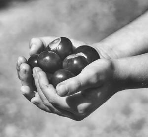 Cropped hand holding food