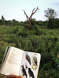 Open book on field by tree against sky